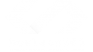 DevTech365.Com